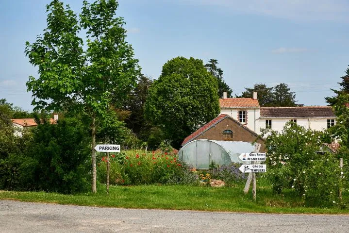 Image qui illustre: Menhir Du Biais