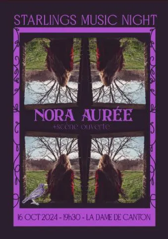 Image qui illustre: SCÈNE OUVERTE + CONCERT DE NORA AURÉE