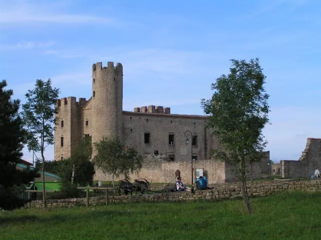 Image qui illustre: Château d'Essalois