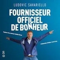 Image qui illustre: Ludovic Savariello Fournisseur Officiel De Bonheur