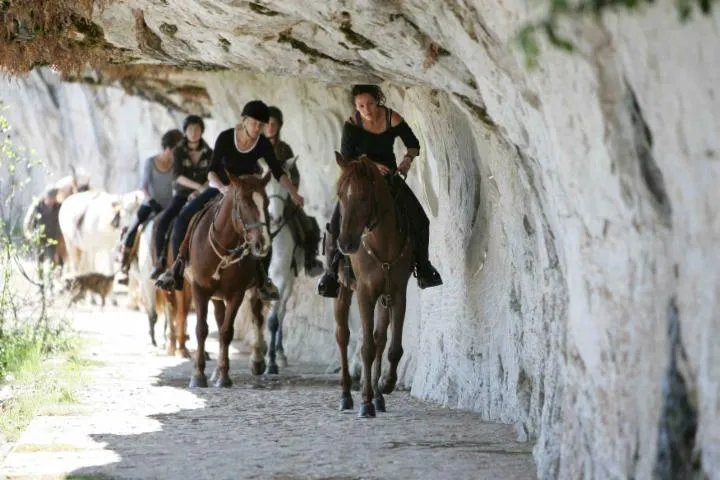 Image qui illustre: Centre Équestre Les Hauts Ferrés