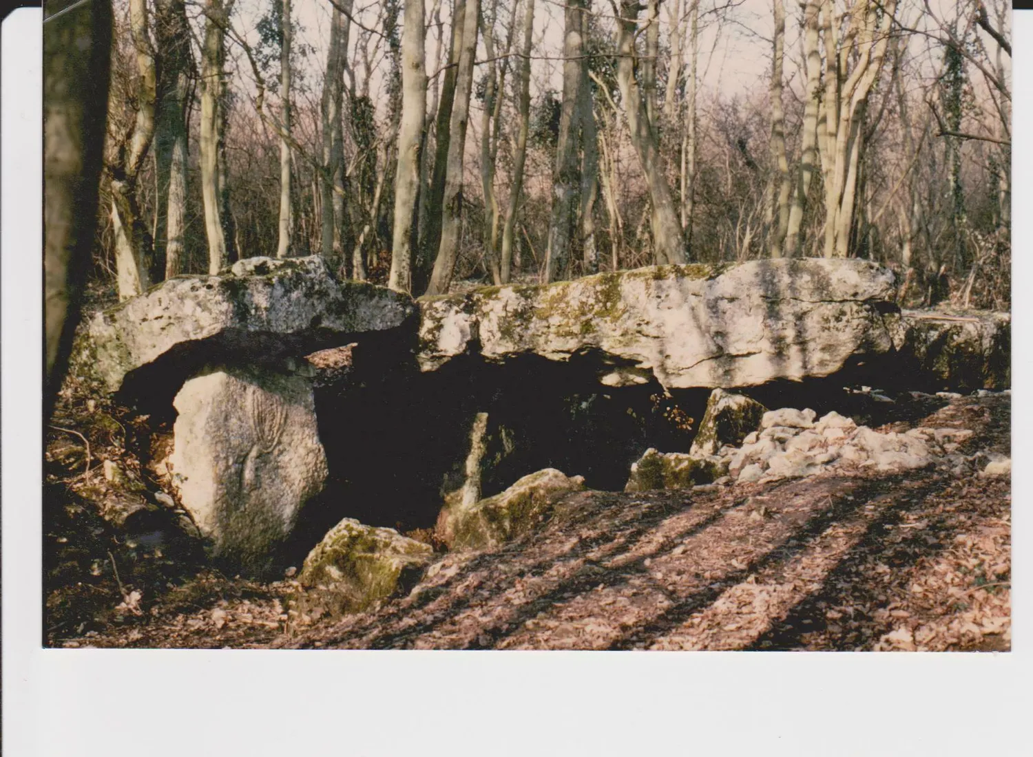 Image qui illustre: Visite guidée de l'allée couverte néolithique à Vexin-sur-Epte - 0
