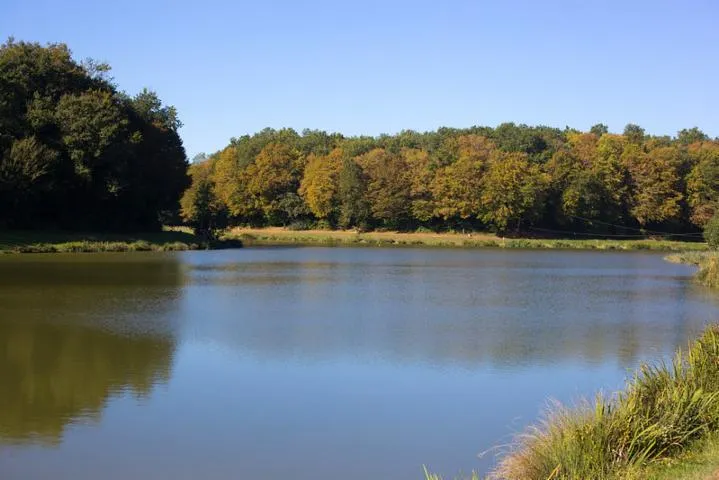 Image qui illustre: Domaine Nature Et De Loisirs De Blasimon