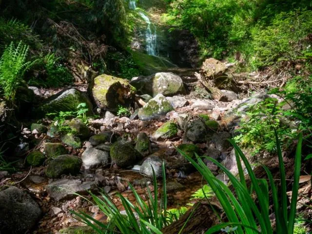 Image qui illustre: Le Saut De La Bourrique