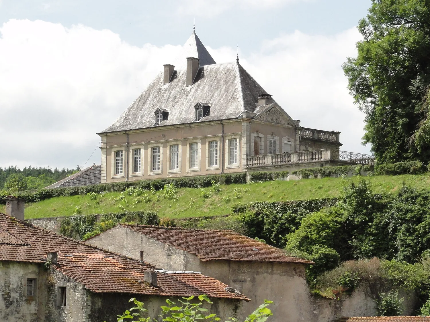 Image qui illustre: Château de Neuviller-sur-Moselle à Neuviller-sur-Moselle - 0