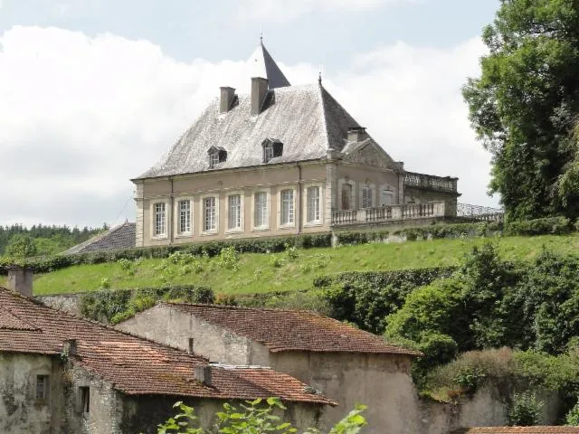 Image qui illustre: Château de Neuviller-sur-Moselle