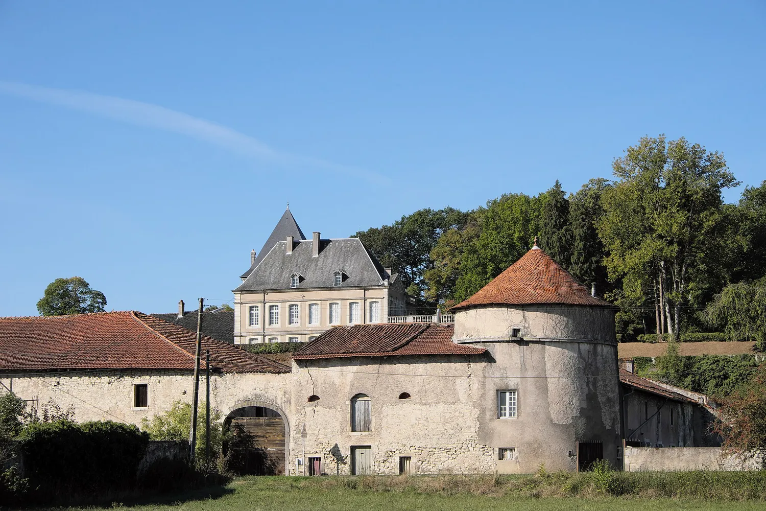 Image qui illustre: Château de Neuviller-sur-Moselle à Neuviller-sur-Moselle - 1