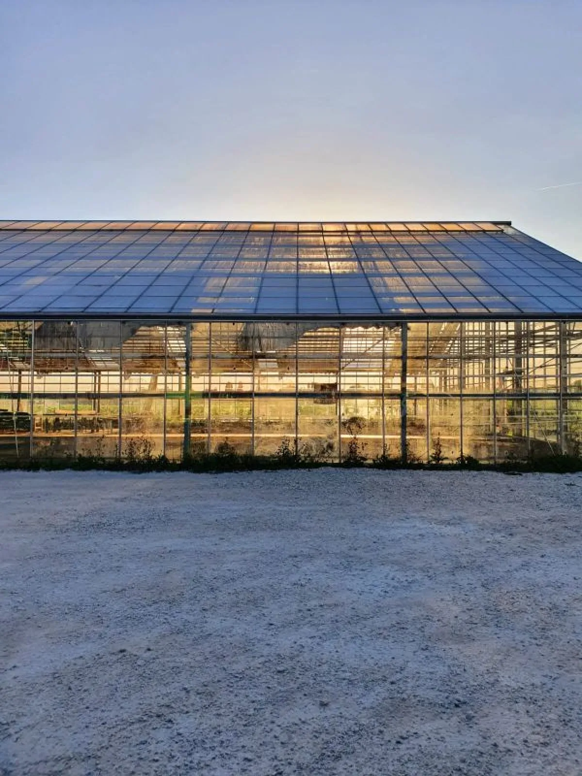 Image qui illustre: Réalisez votre terrarium à Gometz-la-Ville - 1