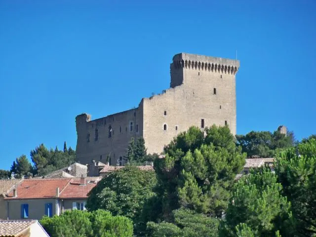 Image qui illustre: Château des Papes