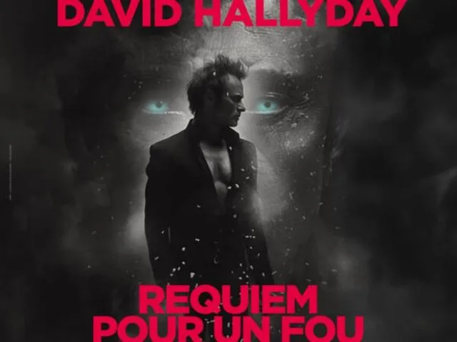Image qui illustre: David Hallyday - Requiem Pour Un Fou