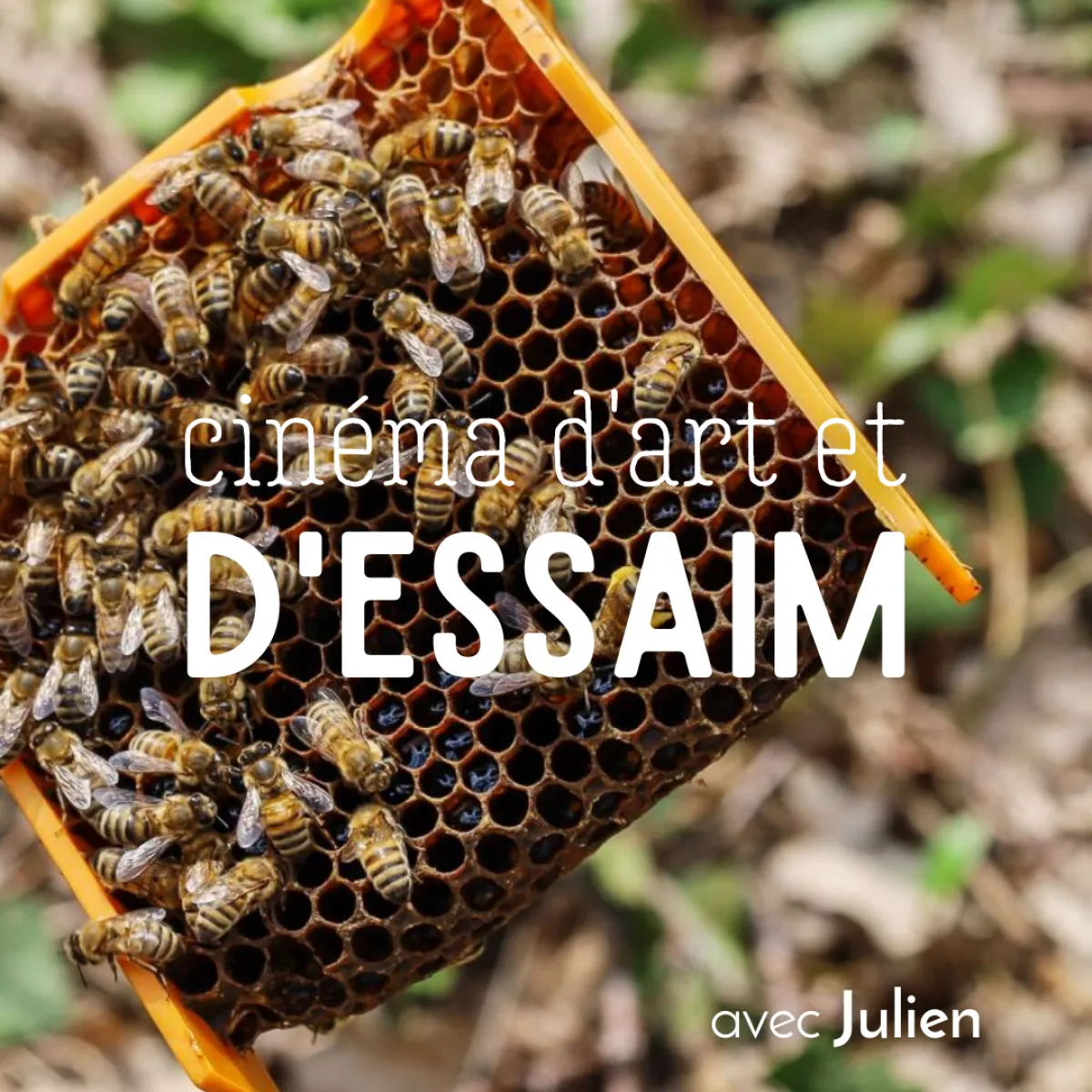Image qui illustre: Formez-vous à l'apiculture sur une journée à Gometz-la-Ville - 0