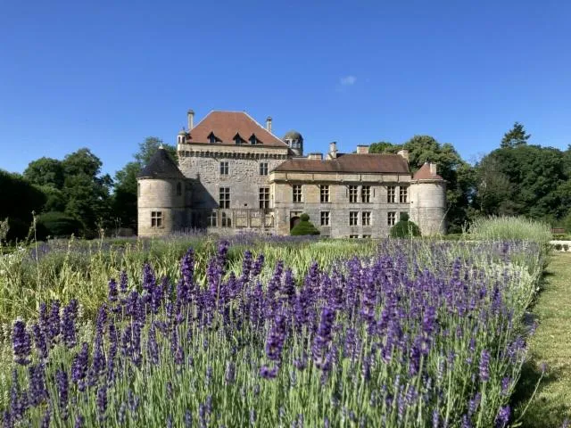 Image qui illustre: Visite libre et guidée des jardins du château du Pailly