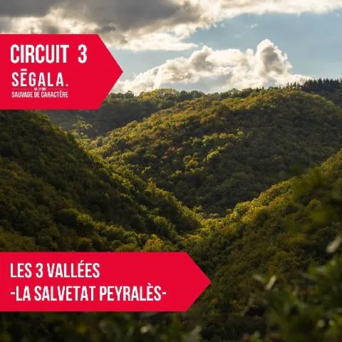 Image qui illustre: Circuit Vtt Vae - Les 3 Vallées - La Salvetat Peyralès