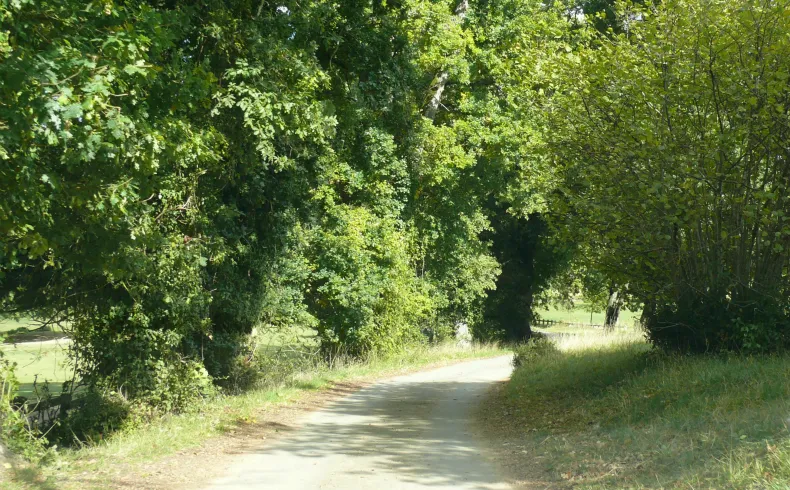 Image qui illustre: Domaine de la Burthe à Floirac - 2