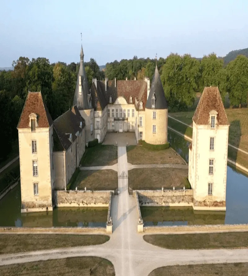 Image qui illustre: Château de Commarin 