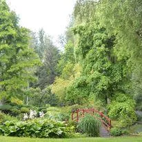 Image qui illustre: Jardin Du Moulin Ventin