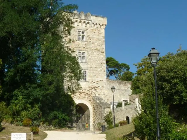 Image qui illustre: Château de Montendre