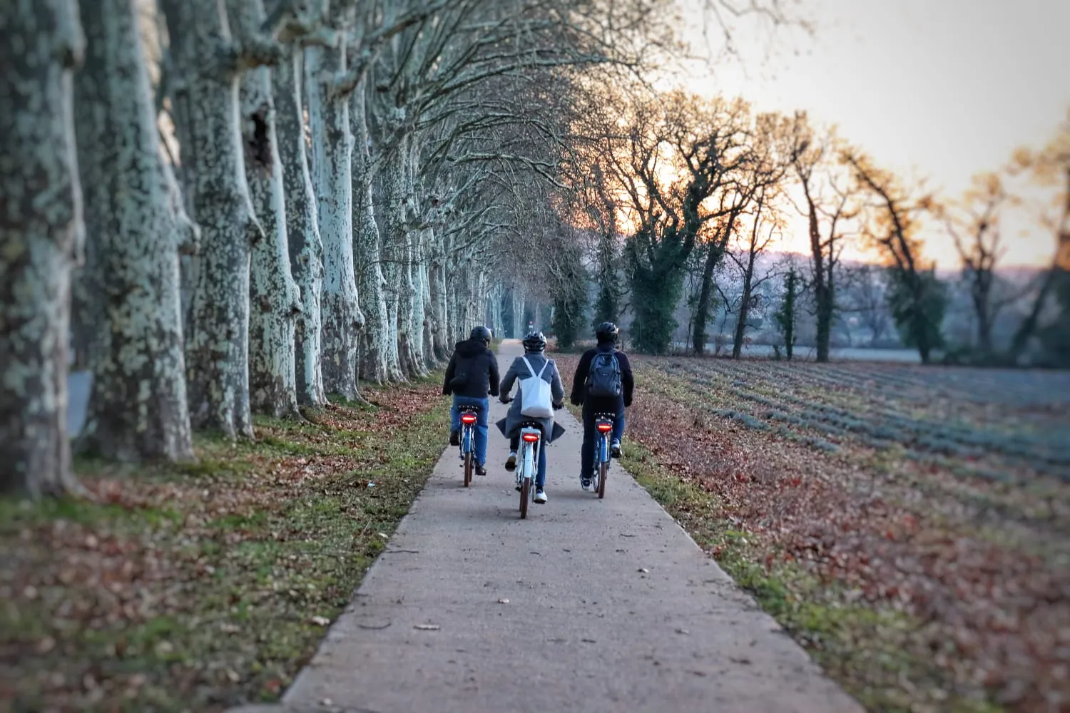 Image qui illustre: Cyclopub - Aix En Vélo Et Segway à Aix-en-Provence - 0
