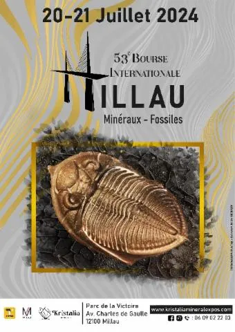 Image qui illustre: 53 Ème Bourse Internationale Aux Minéraux Et Fossiles