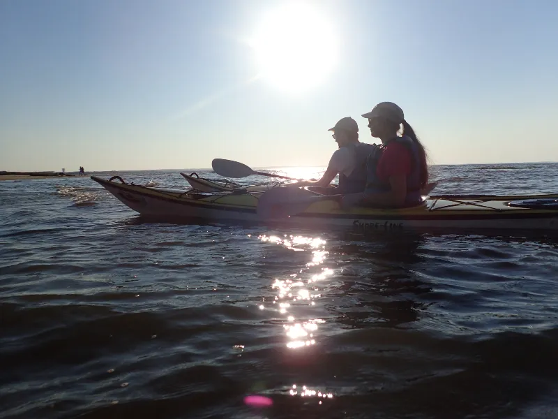 Image qui illustre: Sortie en kayak de mer - Découverte du delta de l'Eyre à Le Teich - 0