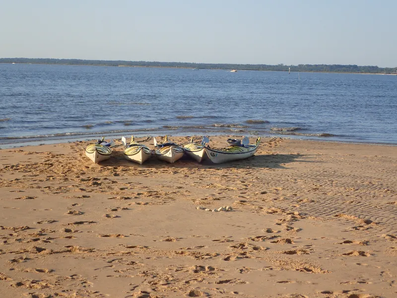 Image qui illustre: Sortie en kayak de mer - Découverte du delta de l'Eyre à Le Teich - 1
