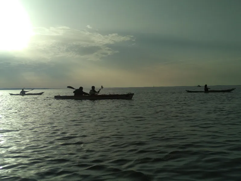Image qui illustre: Sortie en kayak de mer - Découverte du delta de l'Eyre à Le Teich - 2