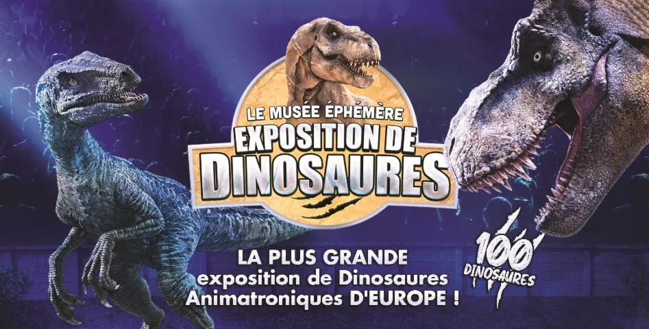 Image qui illustre: Le Musée Éphémère® - Exposition De Dinosaures