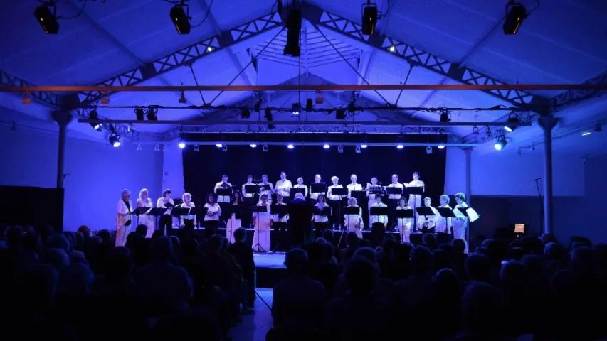 Image qui illustre: Festival Européen De Musique Renaissance Au Château Du Clos Lucé