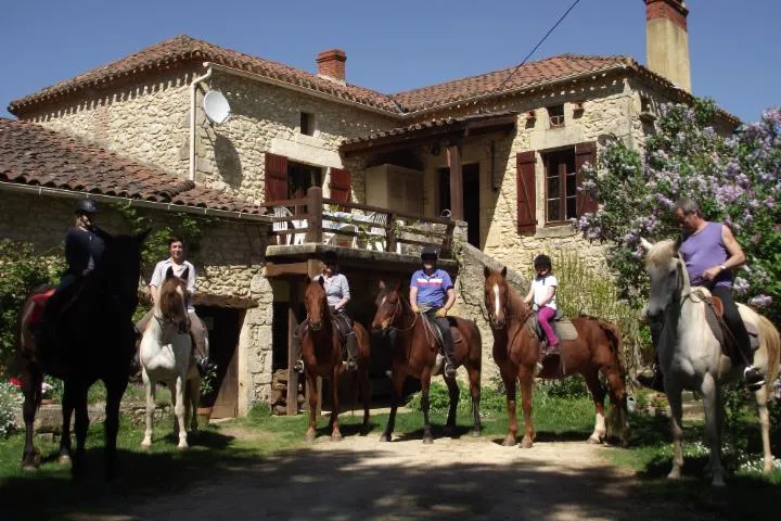Image qui illustre: Ferme Equestre Le Cheval Blanc