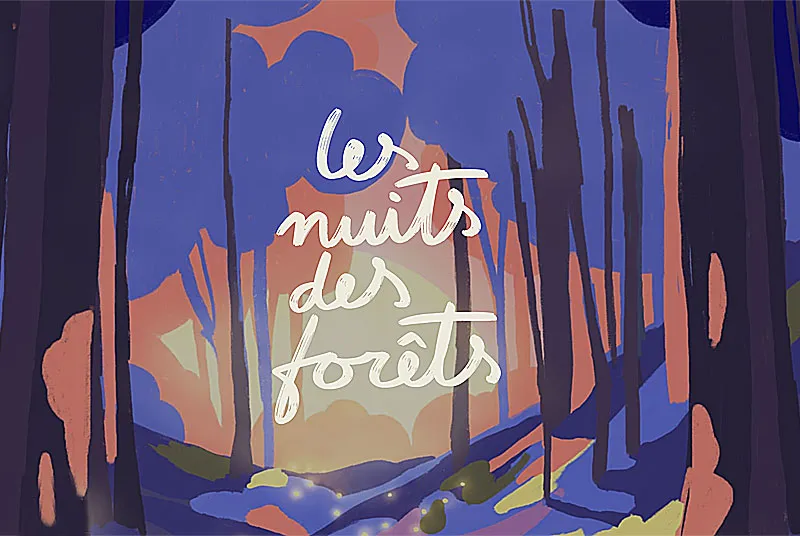 Image qui illustre: Les Nuits Des Forêts : Balade Litteraire Et Lecture Musicale à Vals-des-Tilles - 0