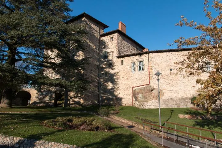 Image qui illustre: Château De Roche-la-molière