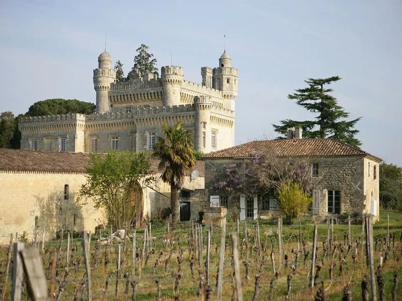 Image qui illustre: Route des vins n°10 Route des châteaux et vignobles aux portes de Bordeaux à Saint-Loubès - 1