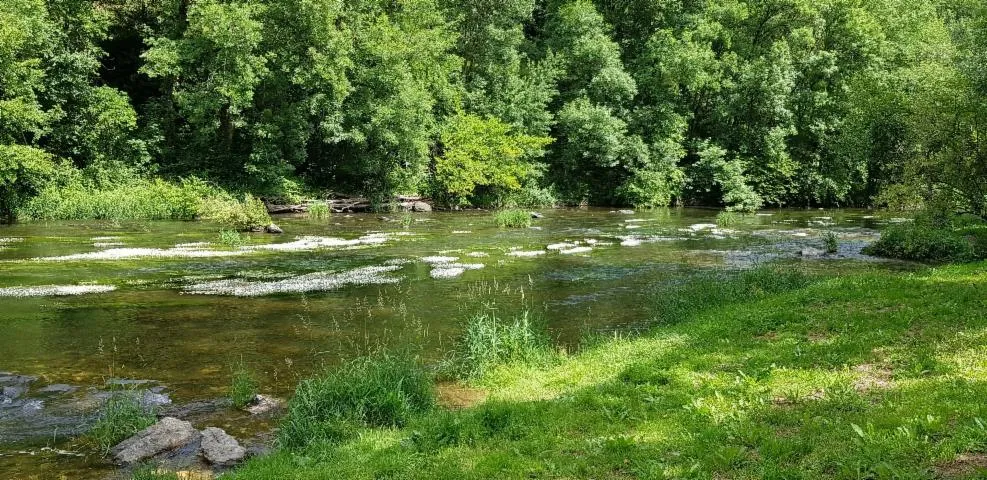 Image qui illustre: Balade commentée et ateliers  Terre, eau et végétal