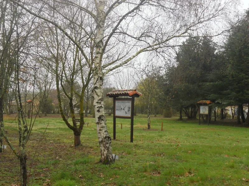 Image qui illustre: Arboretum De Saint Maurice La Clouère à Saint-Maurice-la-Clouère - 2