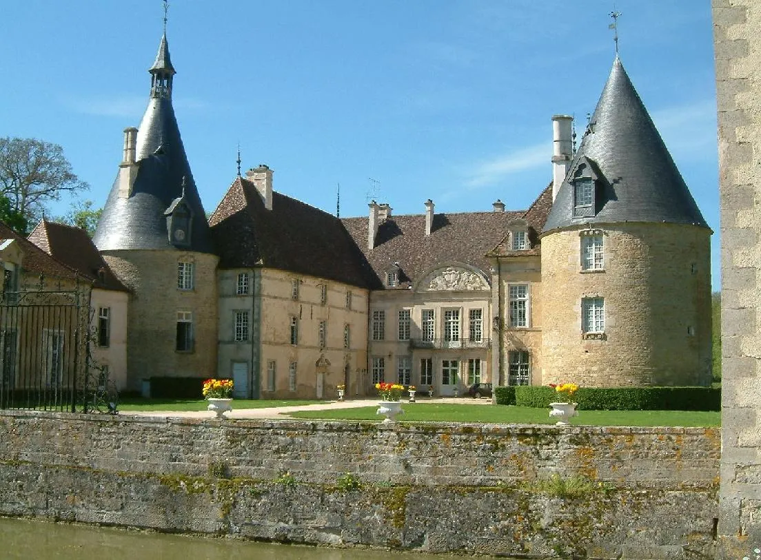 Image qui illustre: Château De Commarin