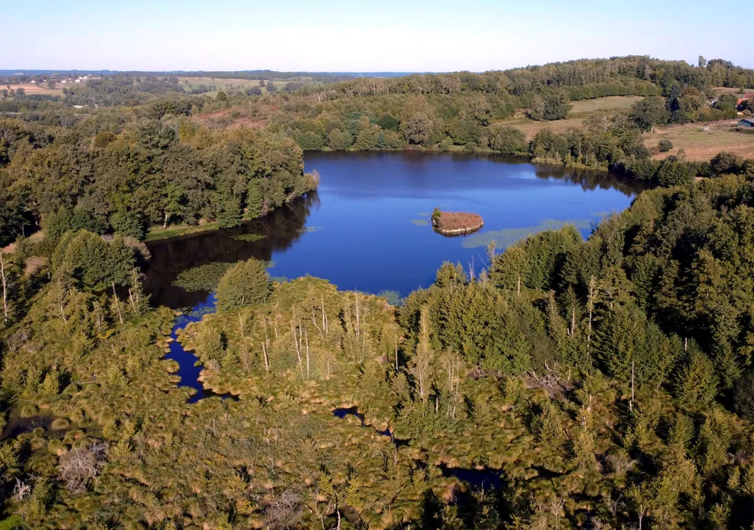 Image qui illustre: Circuit pédestre n°14 Le bois de Bessac à Saint-Maurice-la-Souterraine - 0