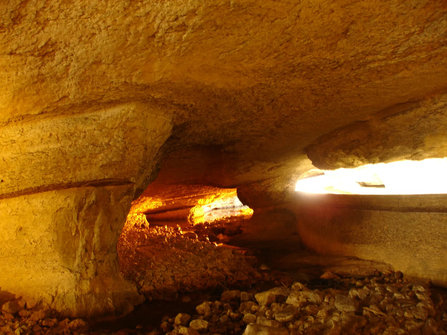 Image qui illustre: Grotte Du Mas-D'azil à Le Mas-d'Azil - 0