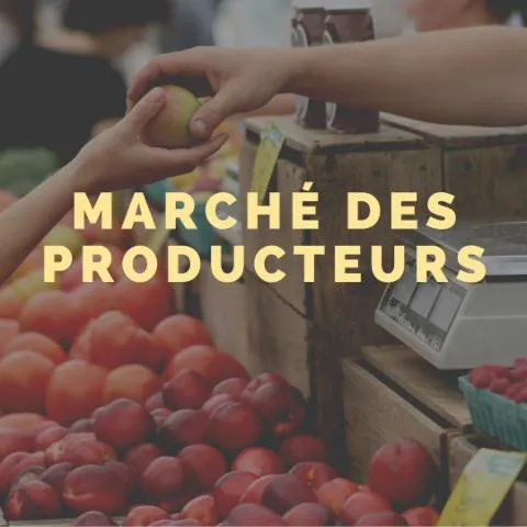 Image qui illustre: Marché des producteurs - Monts-sur-Guesnes