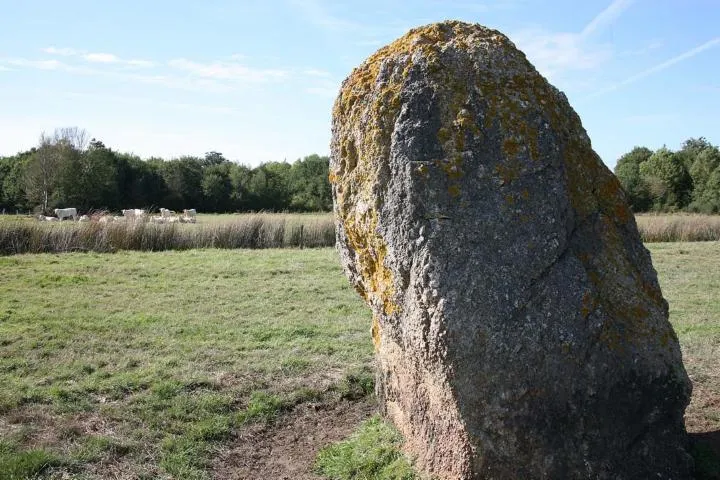 Image qui illustre: Circuit Des Menhirs