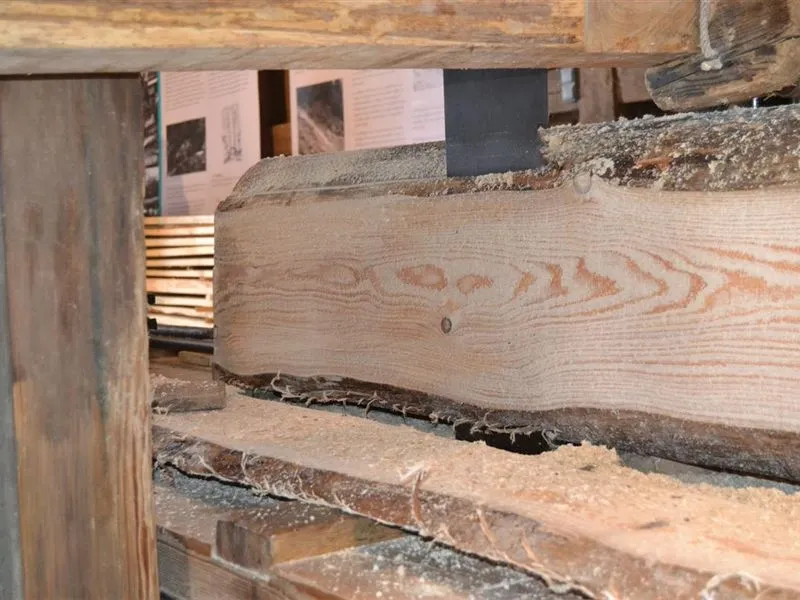 Image qui illustre: La Scierie Du Lancoir à Plainfaing - 2