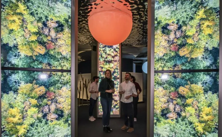 Image qui illustre: Via Sensoria, le parcours immersif de dégustations à La Cité du Vin