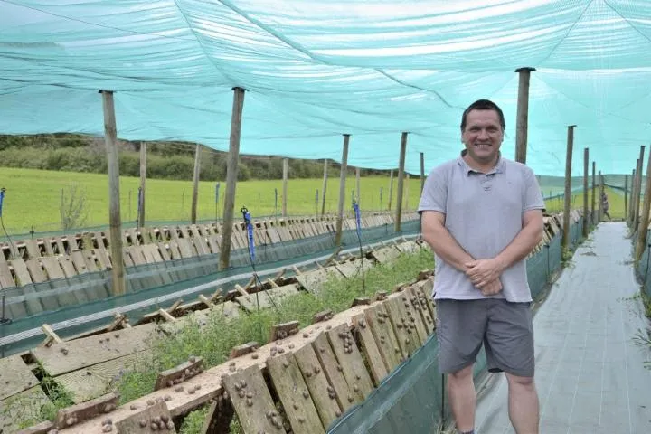 Image qui illustre: Les Escargots Du Périgord