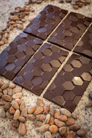 Image qui illustre: Fèves & Chocolat
