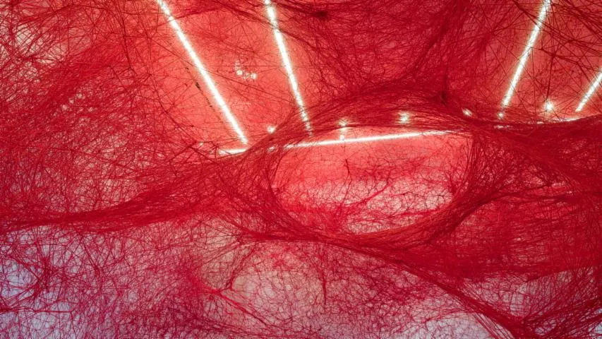 Image qui illustre: Beyond Consciousness - Exposition Chiharu Shiota