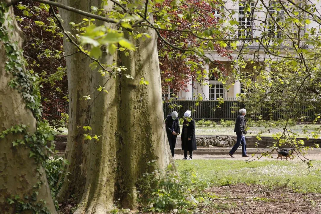 Image qui illustre: Jardin Du Palais Du Gouvernement