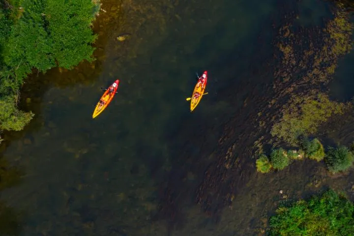 Image qui illustre: Entre Nature Et Papilles - Canoé La Vallée Des Moulins