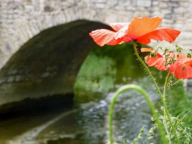 Image qui illustre: Véloroute De La Vallée Du Céou