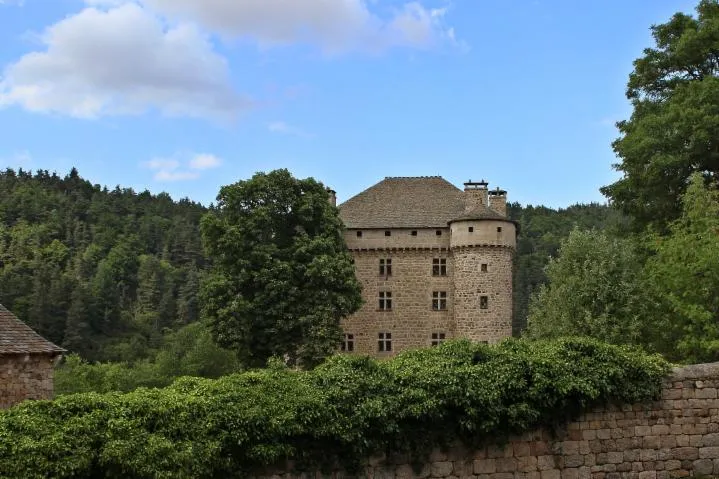 Image qui illustre: Chateau Du Fort