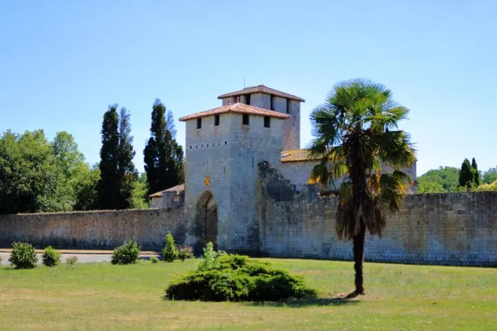 Image qui illustre: Bastide de Vianne