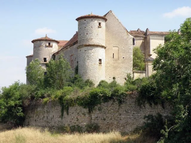 Image qui illustre: Château Du Bousquet À Arcambal